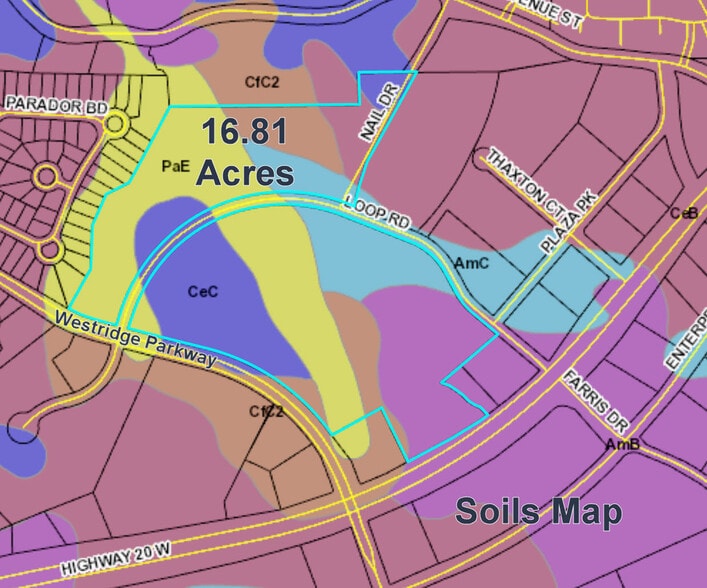 0 Loop Rd, McDonough, GA for sale - Building Photo - Image 2 of 19