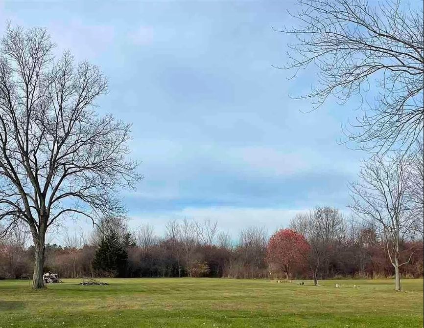 1217 E Frances, Mount Morris, MI for sale Primary Photo- Image 1 of 3