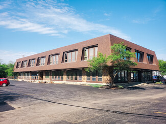 More details for 95 W Grand Ave, Lake Villa, IL - Office for Sale