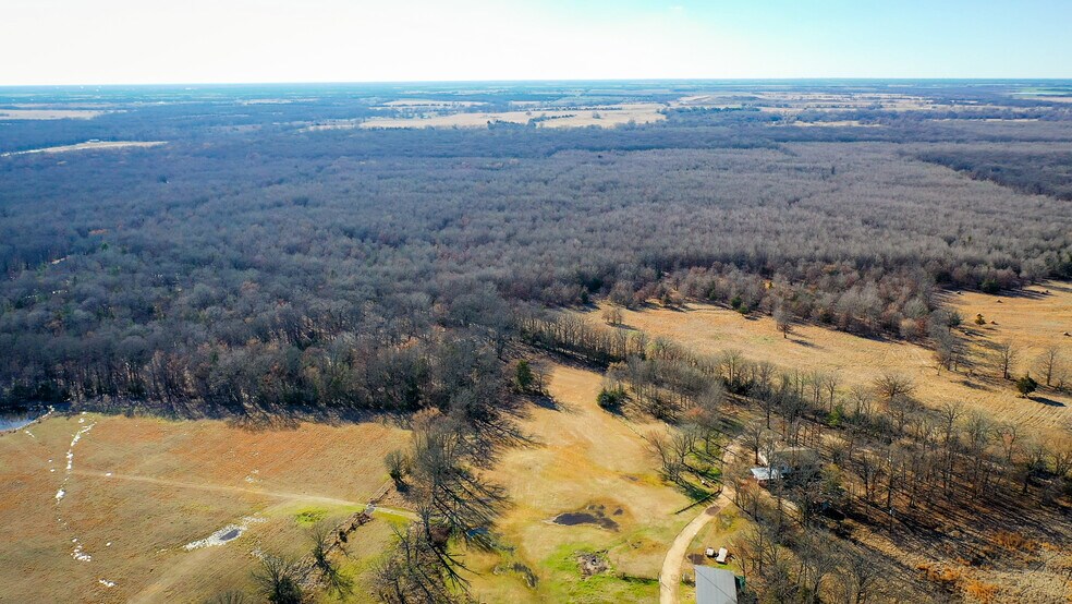 1200 County 1255 rd, Detroit, TX à vendre - Photo du bâtiment - Image 2 de 78