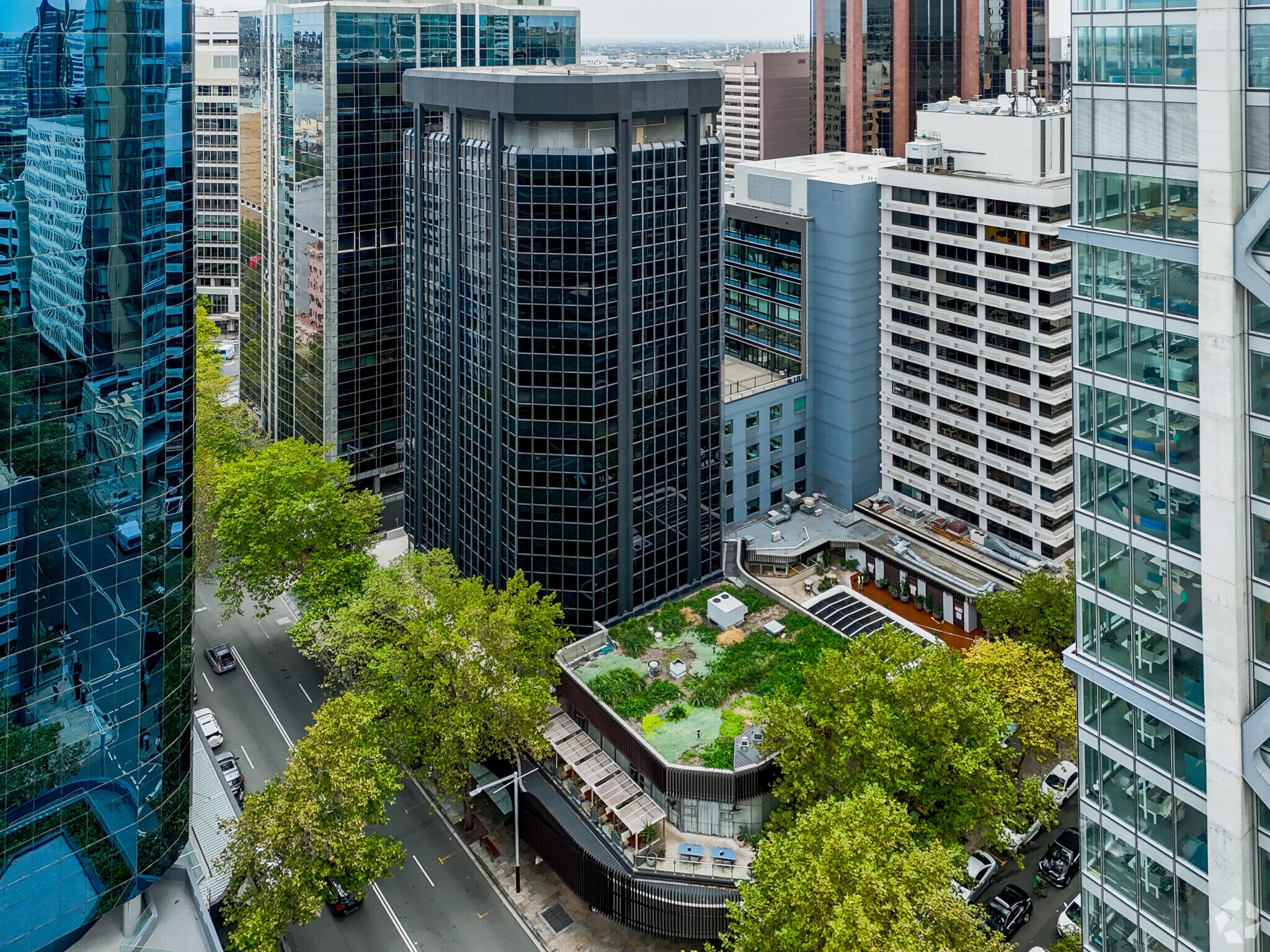 99 Mount St, North Sydney for lease Primary Photo- Image 1 of 7