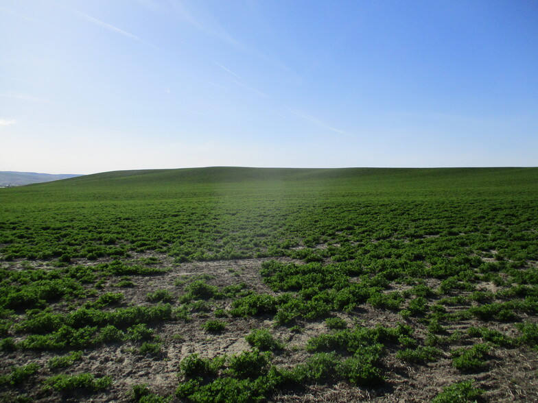 2316 Lowden Gardena Road, Walla Walla, WA for sale - Primary Photo - Image 1 of 1