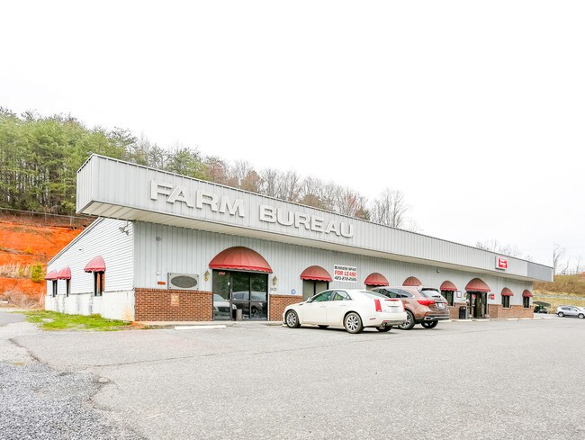 Plus de détails pour 3825 Highway 66 S, Rogersville, TN - Bureau à vendre