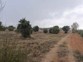 More details for Land for Sale