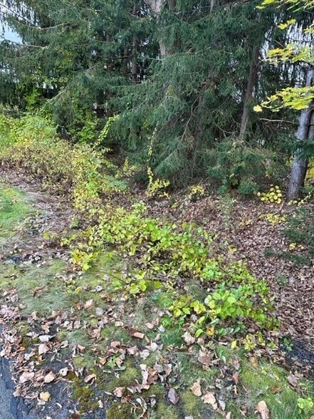 385 Bay Rd, Queensbury, NY for sale - Other - Image 2 of 4