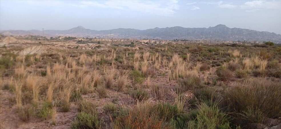 Abanilla, S/N, Abanilla, Murcia à vendre - Plan de site - Image 3 de 10