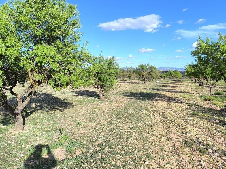 Land in Caudete, Albacete for sale - Site Plan - Image 2 of 6