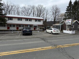 Plus de détails pour 44 Oak St, Deposit, NY - Services hôteliers à vendre
