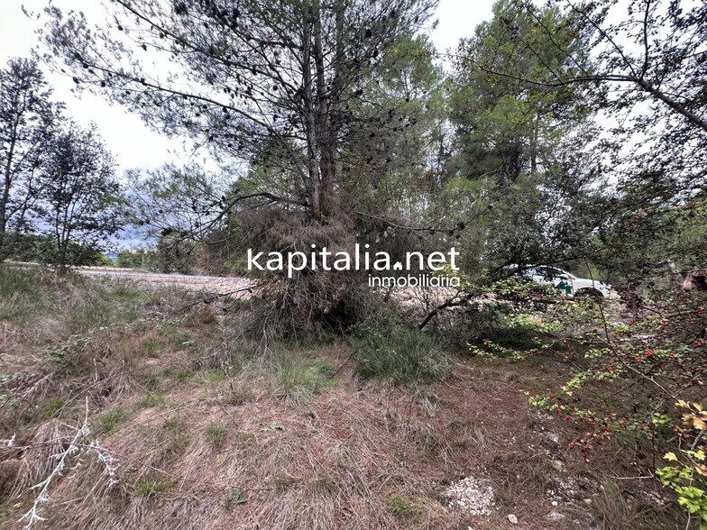 Land in Alfafara, Alicante for sale - Primary Photo - Image 2 of 5