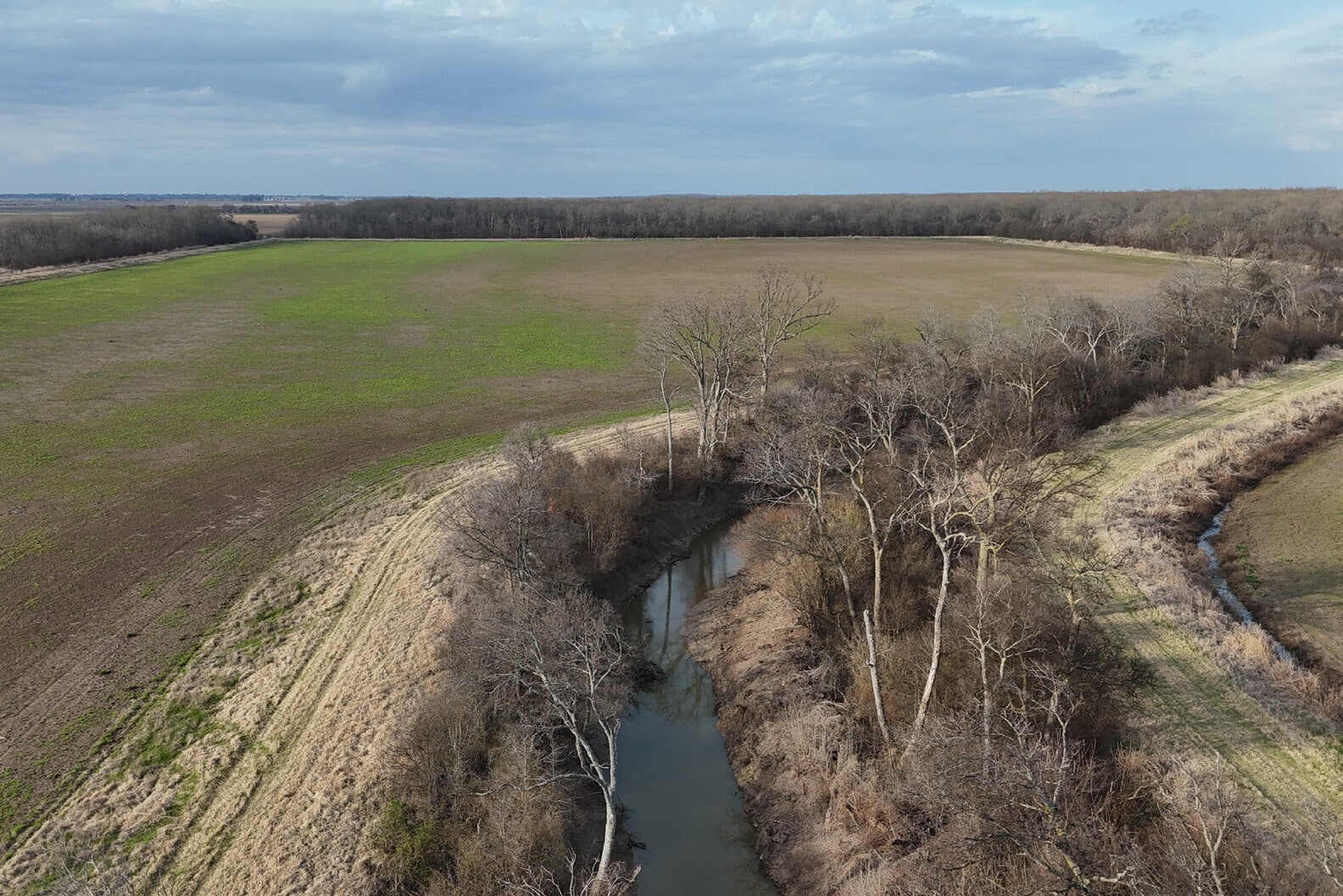 Nipps Wilkerson 280, Humnoke, AR for sale Other- Image 1 of 11