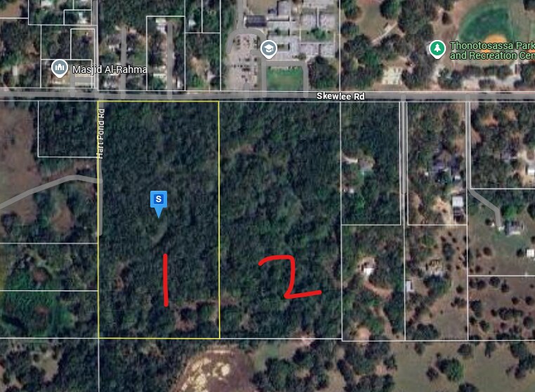 9956 Skewlee Rd, Thonotosassa, FL à vendre Photo principale- Image 1 de 1