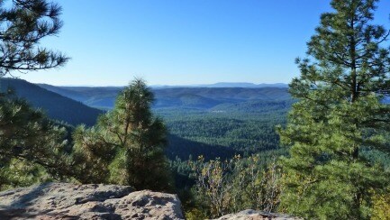 2811 White Cliff Dr, Heber, AZ à vendre - Autre - Image 3 de 4