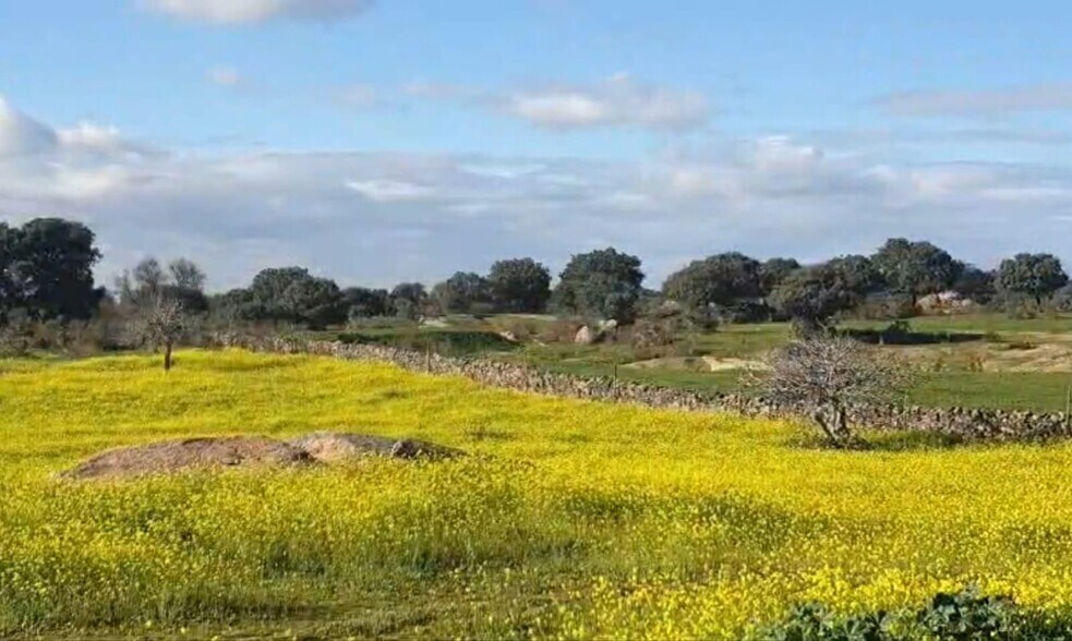 Terrain dans Cáceres, Cáceres à vendre - Aérien - Image 1 de 1