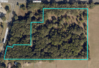 Plus de détails pour NE 70th St, Ocala, FL - Terrain à vendre