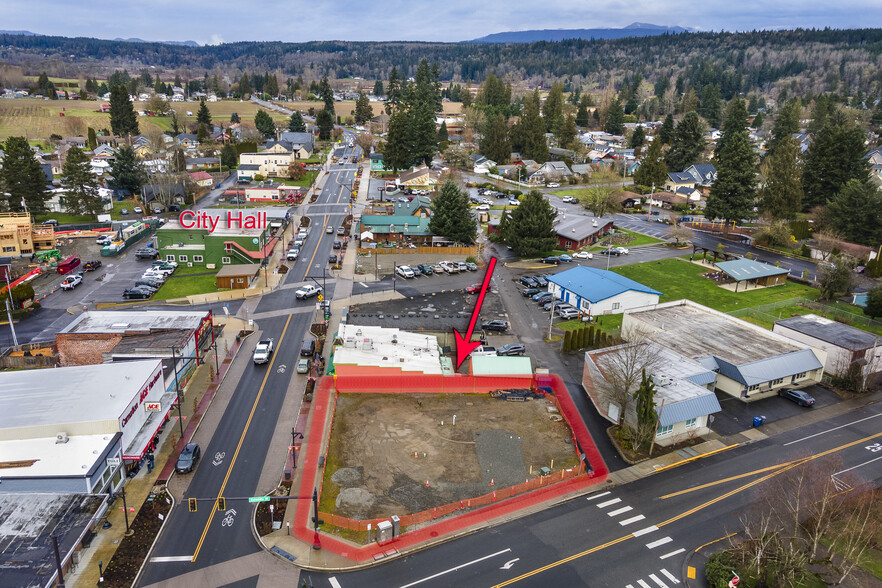 4500 Tolt Ave, Carnation, WA for sale - Aerial - Image 2 of 5