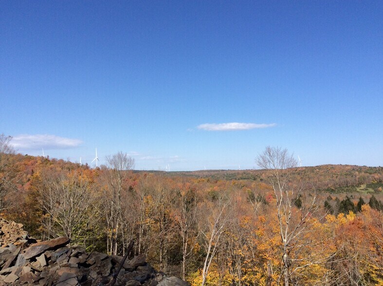 2332 Old Rte 17, Windsor Township, NY à vendre - Autre - Image 2 de 5