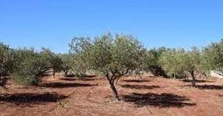 More details for Carrer del Mar, Rossell - Land for Sale