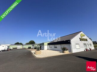 Plus de détails pour Flex à vendre