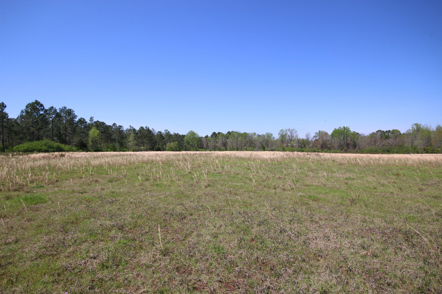 1908 Albany hwy, Dawson, GA à vendre - Photo du b timent - Image 3 de 6