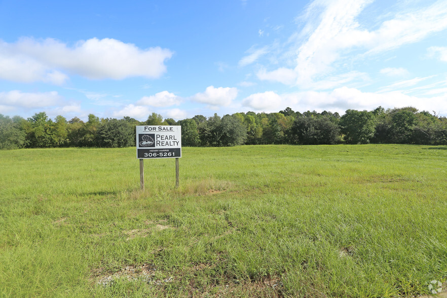 Lot 16 Al-110, Pike Road, AL à vendre - Photo principale - Image 1 de 1