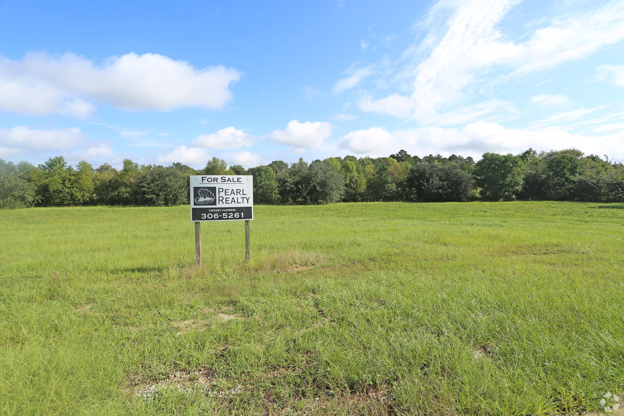 Lot 16 Al-110, Pike Road, AL for sale Primary Photo- Image 1 of 1