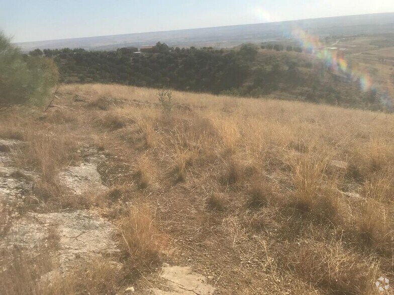 Polígono 19, El Molar, Madrid à vendre - Photo du bâtiment - Image 3 de 14