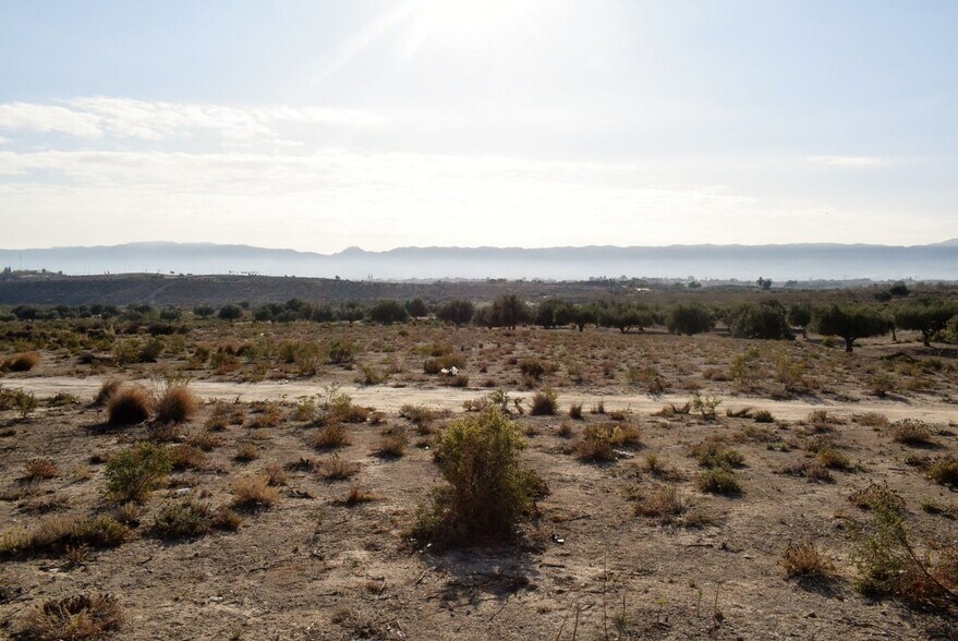 Industrial in Murcia for sale - Building Photo - Image 3 of 7