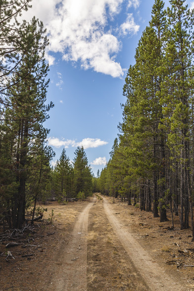 US Forest Service Rd, Silver Lake, OR à vendre - Autre - Image 3 de 18