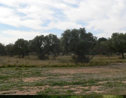 Land in Cambrils, Tarragona for sale Primary Photo- Image 1 of 9