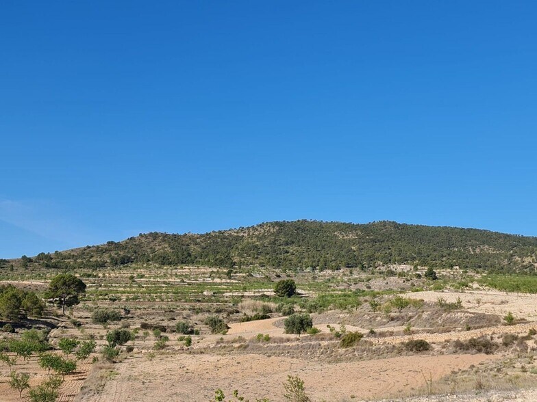 Land in Yecla, Murcia for sale - Primary Photo - Image 3 of 28