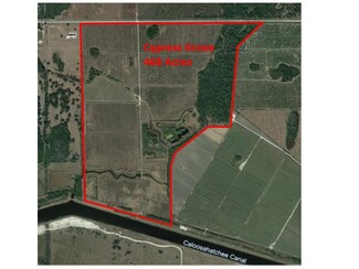 Plus de détails pour State Road 78, Moore Haven, FL - Terrain à vendre