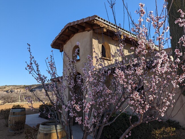 Plus de détails pour 3445 S Grapevine Way, Cottonwood, AZ - Terrain à vendre