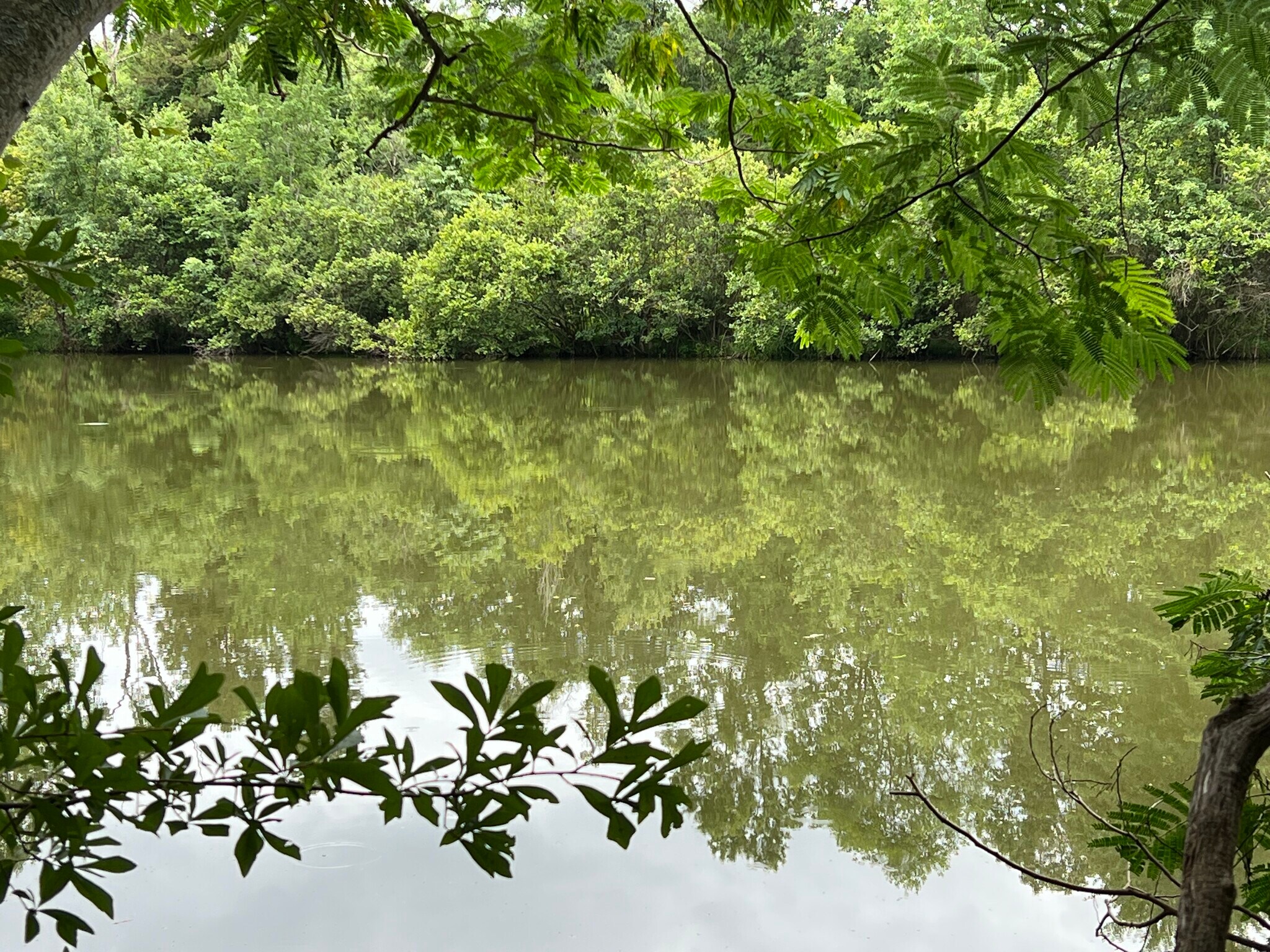 127 Westlee st, Shelby, NC à vendre Photo principale- Image 1 de 1