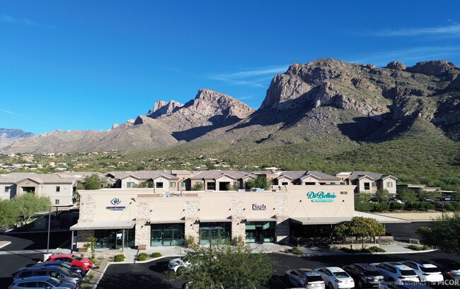 More details for 9630 N Oracle Rd, Oro Valley, AZ - Retail for Sale