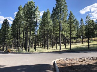 Plus de détails pour 800 N Switzer Canyon Dr, Flagstaff, AZ - Terrain à vendre