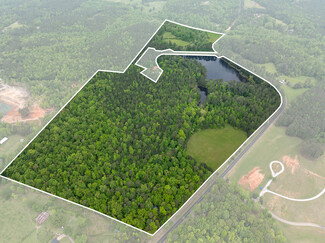 Plus de détails pour 7357 Ono Rd, Palmetto, GA - Terrain à vendre