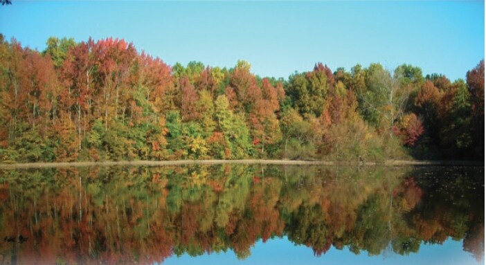 4605 W T Harris Blvd, Charlotte, NC à louer - Photo du bâtiment - Image 1 de 2