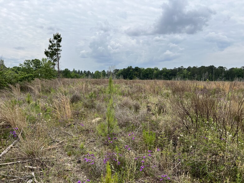 Longstreet Church Road, Cochran, GA for sale - Other - Image 1 of 1