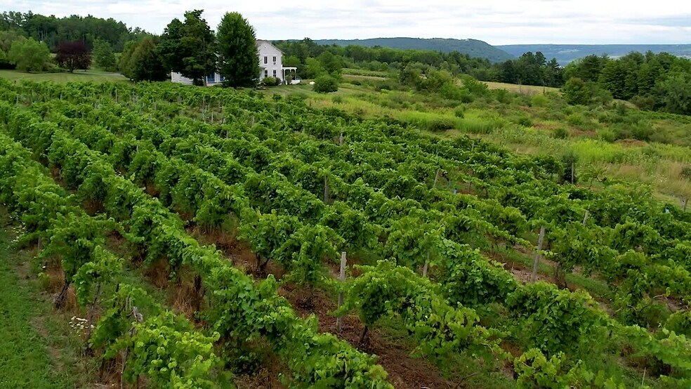 9940 Middle Rd, Hammondsport, NY à vendre - Vidéo sur l’inscription commerciale - Image 2 de 28