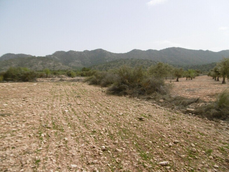 Land in Yecla, Murcia for sale - Site Plan - Image 2 of 3
