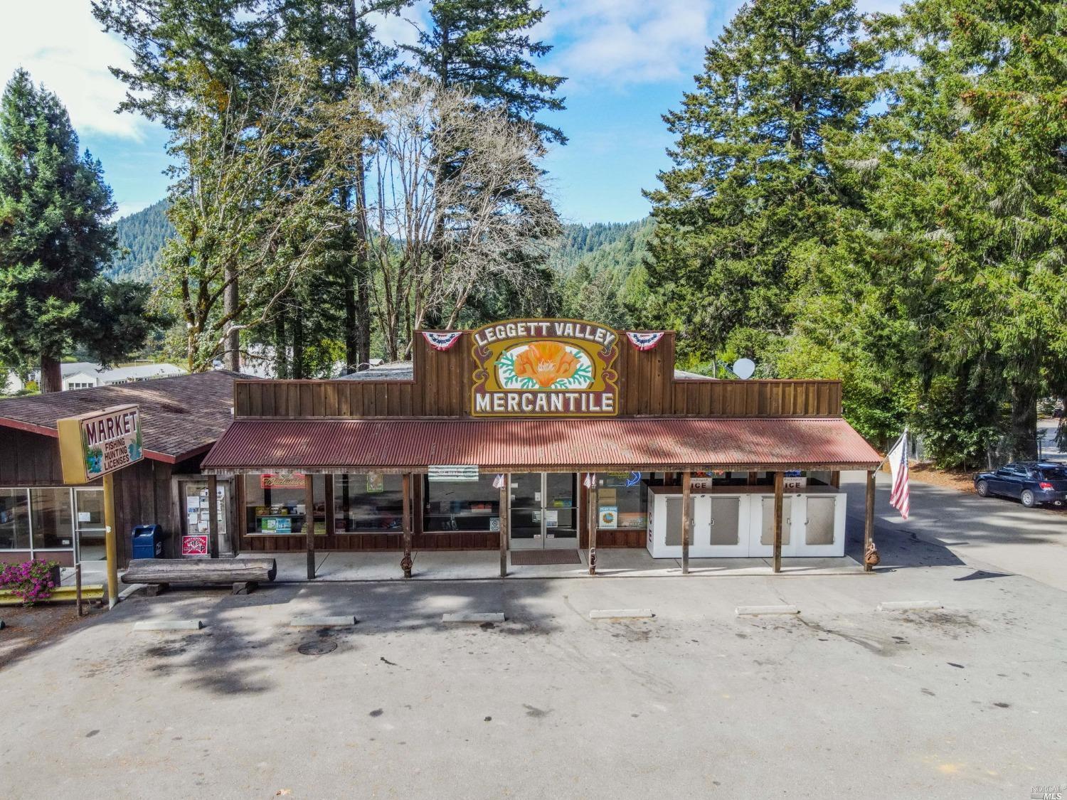 67678 Hwy 271, Leggett, CA à vendre Photo principale- Image 1 de 1