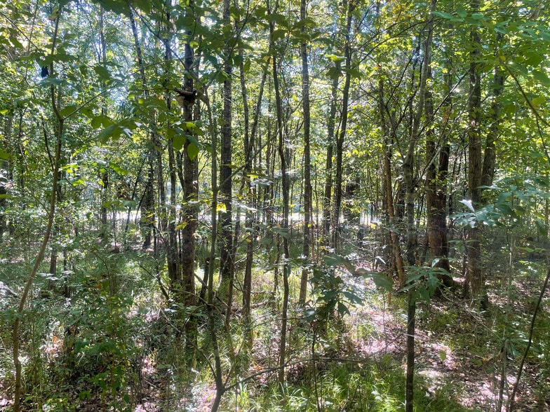 Towne Center Blvd., Ridgeland, MS à vendre - Autre - Image 3 de 3