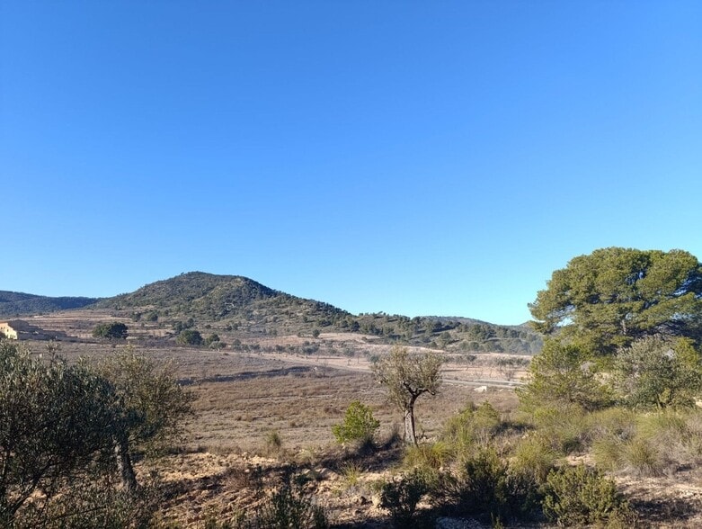 Terrain dans Yecla, Murcia à vendre - Aérien - Image 2 de 11