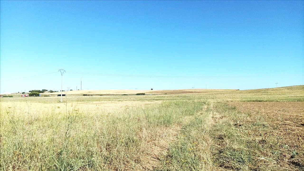 Carretera Salamanca, Simancas, Valladolid à vendre Photo principale- Image 1 de 13
