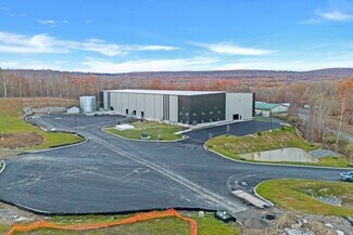 Plus de détails pour 1 Distribution Dr, Bloomingburg, NY - Industriel à louer