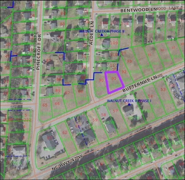 209 Butternut Ln, Clayton, NC for sale - Building Photo - Image 1 of 4