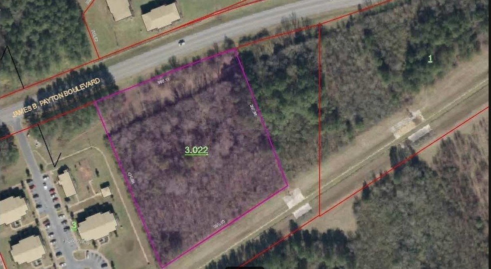 James Payton Blvd, Sylacauga, AL à vendre - Aérien - Image 2 de 4