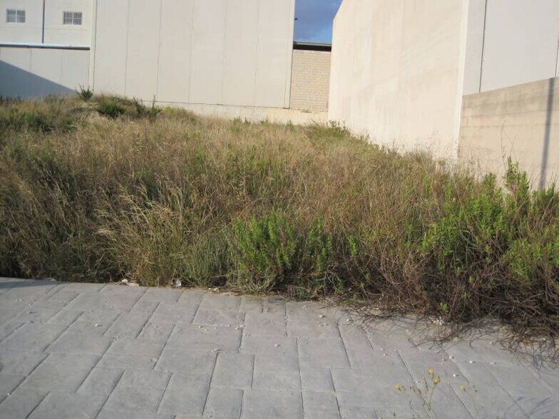 Terrain dans Aspe, Alicante à vendre - Photo de construction - Image 2 de 3