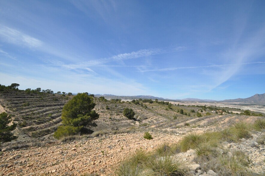 Terrain dans Jumilla, Murcia à vendre - Aérien - Image 3 de 16