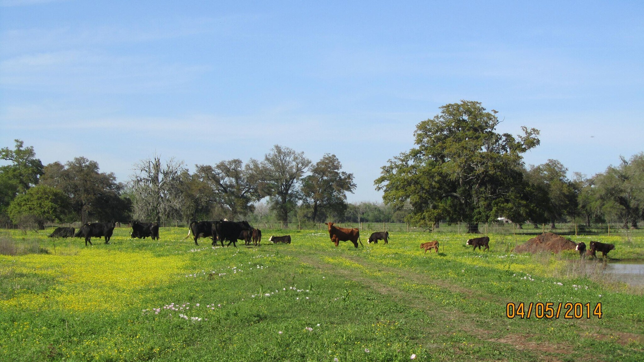 312.7 Acres for Sale portefeuille de 3 propriétés à vendre sur LoopNet.ca Photo principale- Image 1 de 4